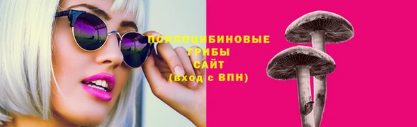 молекула духа Беломорск