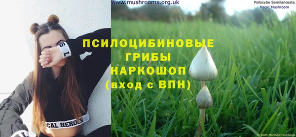 метамфетамин Белокуриха