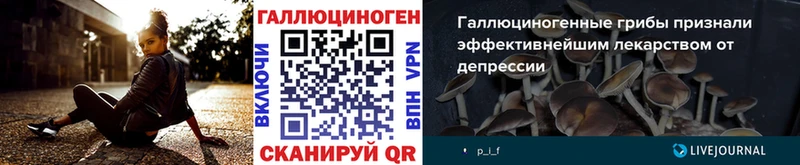 OMG сайт  Павловск  Галлюциногенные грибы Psilocybe 